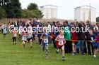 Under-11s Sunderland Harriers Open Cross Country. Photo: David T. Hewitson/Sports for All Pics